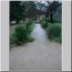 DSCN3513.jpg
