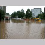 DSCN3648.jpg